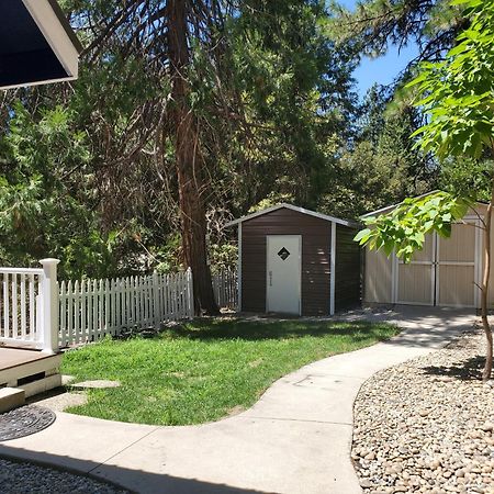 -Serendipity Lodge At Yosemite- Bbq-Full Kitchen-King Bed Oakhurst Buitenkant foto
